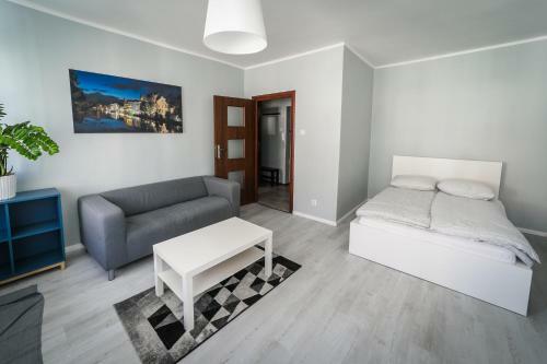 Silver Vision Apartment - Rynek Opole Exteriör bild